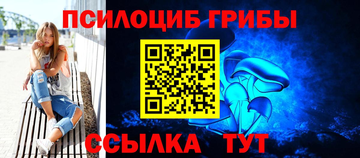 где можно купить наркотик  Псилоцибиновые грибы мицелий  Псилоцибиновые грибы Magic Shrooms  Вход с VPN  Рубцовск 